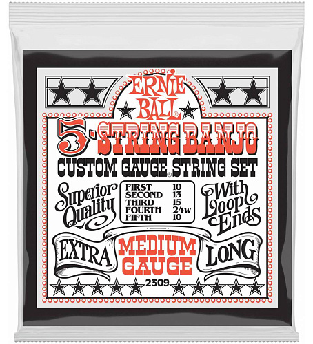 Ernie Ball 2309 Stainless Steel Medium 10-10 Комплект струн для 5-струнного банджо.